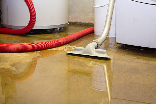 Best Water damage restoration company  in Highlands, CA