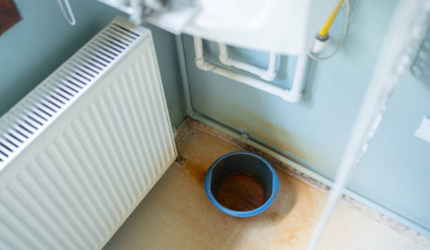 Best Ceiling water damage repair  in Highlands, CA