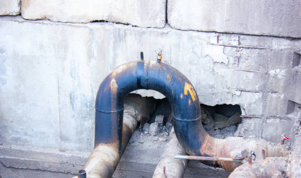 Best Flood damage cleanup  in Highlands, CA