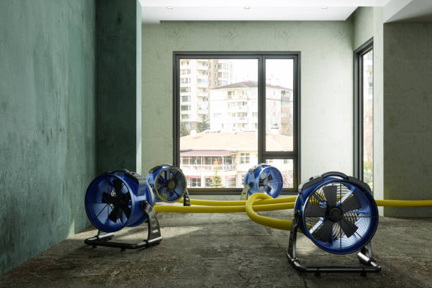 Best Water damage restoration near me  in Highlands, CA
